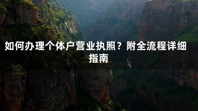 如何办理个体户营业执照？附全流程详细指南