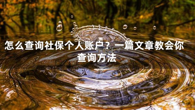 怎么查询社保个人账户？一篇文章教会你查询方法