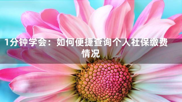 1分钟学会：如何便捷查询个人社保缴费情况