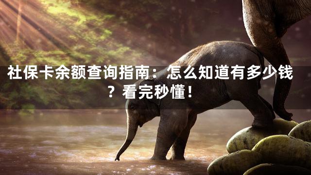 社保卡余额查询指南：怎么知道有多少钱？看完秒懂！
