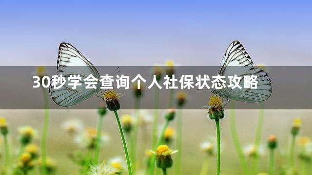 30秒学会查询个人社保状态攻略
