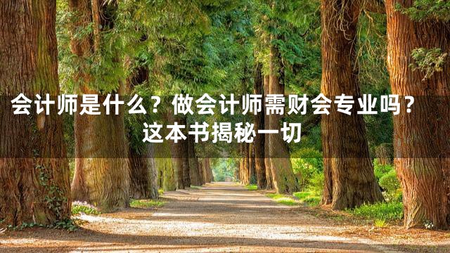 会计师是什么？做会计师需财会专业吗？这本书揭秘一切