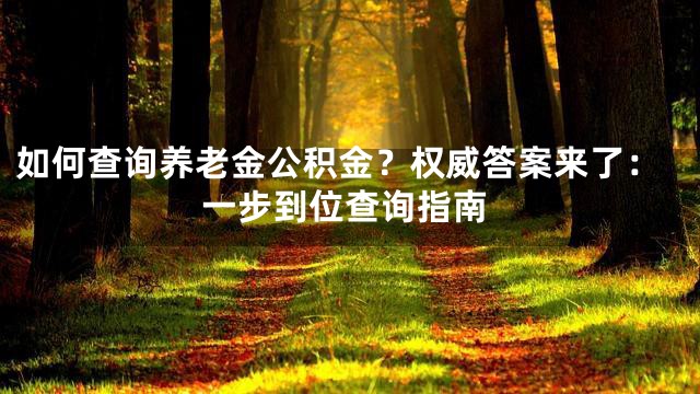如何查询养老金公积金？权威答案来了：一步到位查询指南