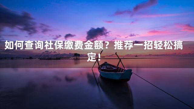 如何查询社保缴费金额？推荐一招轻松搞定！
