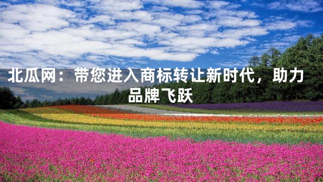 北瓜网：带您进入商标转让新时代，助力品牌飞跃