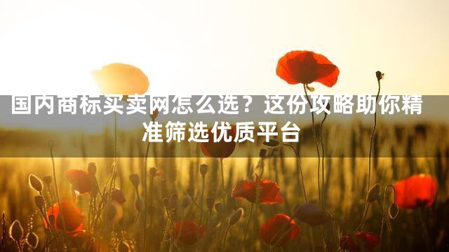 国内商标买卖网怎么选？这份攻略助你精准筛选优质平台