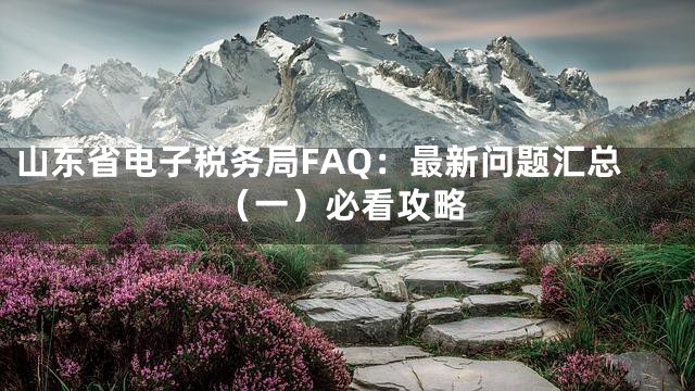 山东省电子税务局FAQ：最新问题汇总（一）必看攻略