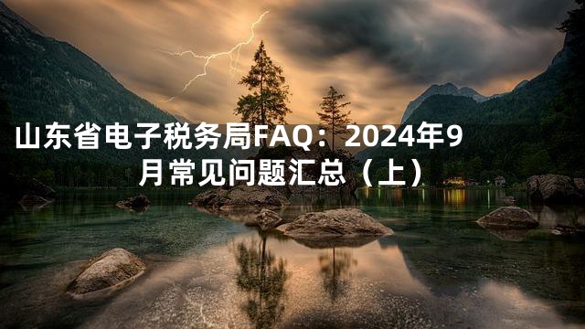 山东省电子税务局FAQ：2024年9月常见问题汇总（上）