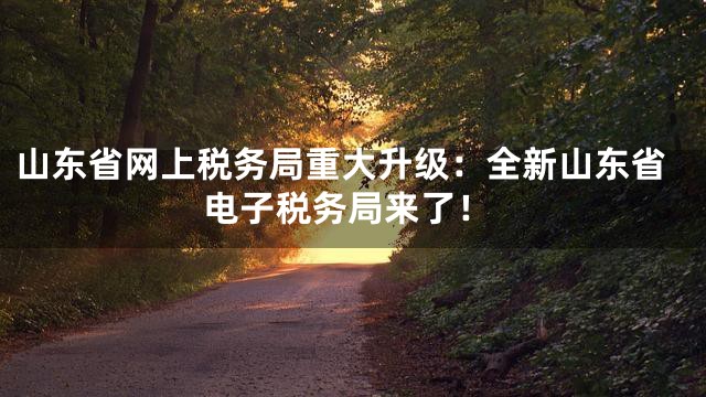 山东省网上税务局重大升级：全新山东省电子税务局来了！