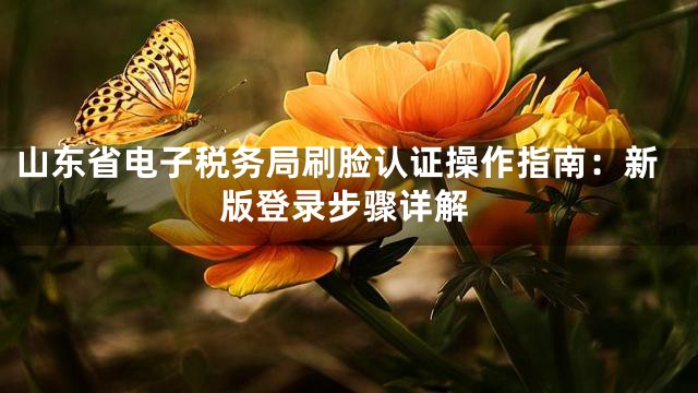山东省电子税务局刷脸认证操作指南：新版登录步骤详解