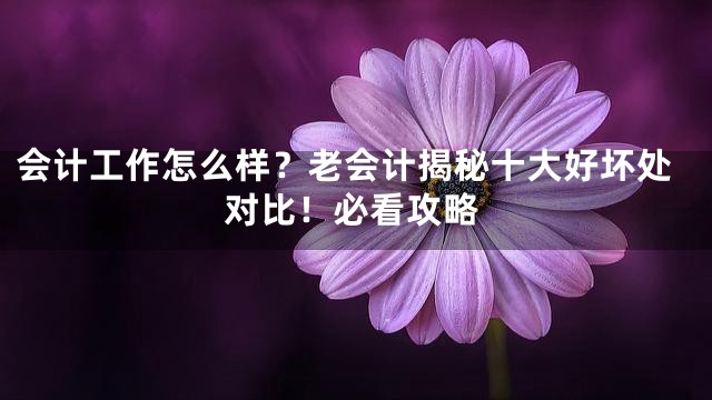会计工作怎么样？老会计揭秘十大好坏处对比！必看攻略