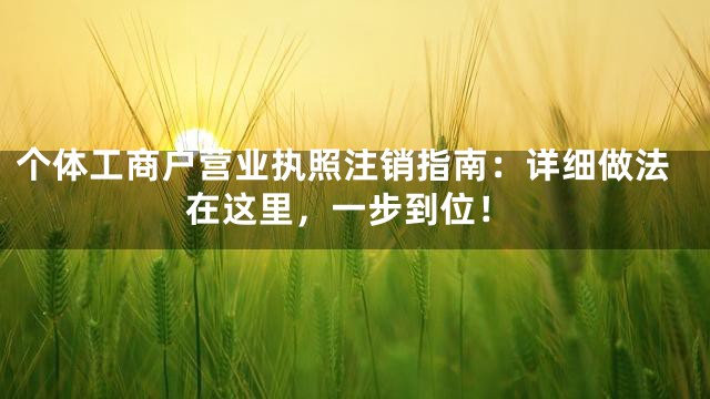 个体工商户营业执照注销指南：详细做法在这里，一步到位！