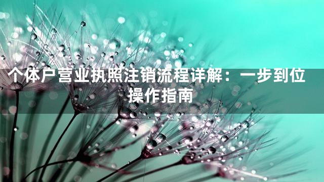 个体户营业执照注销流程详解：一步到位操作指南