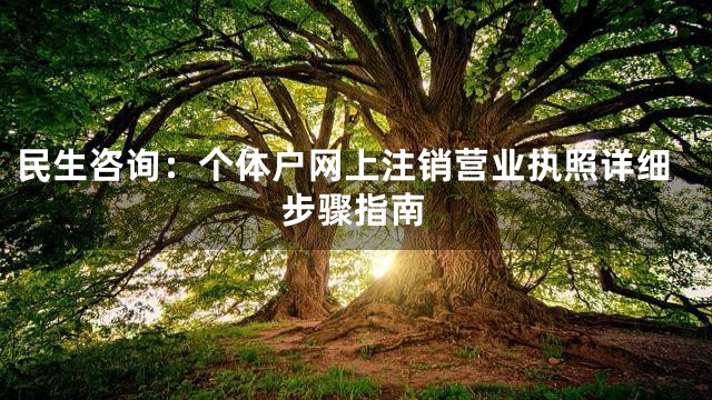 民生咨询：个体户网上注销营业执照详细步骤指南