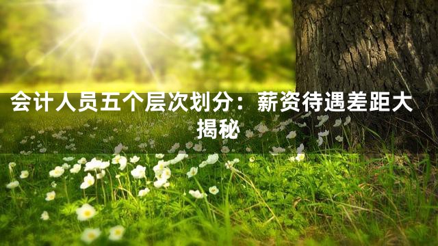 会计人员五个层次划分：薪资待遇差距大揭秘