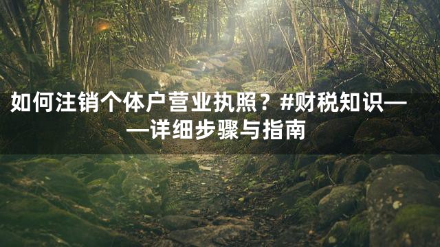 如何注销个体户营业执照？#财税知识——详细步骤与指南