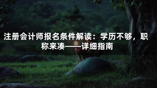 注册会计师报名条件解读：学历不够，职称来凑——详细指南