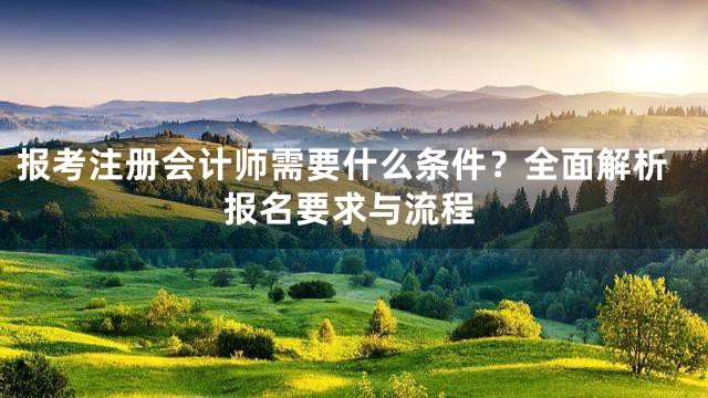 报考注册会计师需要什么条件？全面解析报名要求与流程