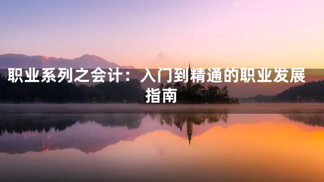 职业系列之会计：入门到精通的职业发展指南