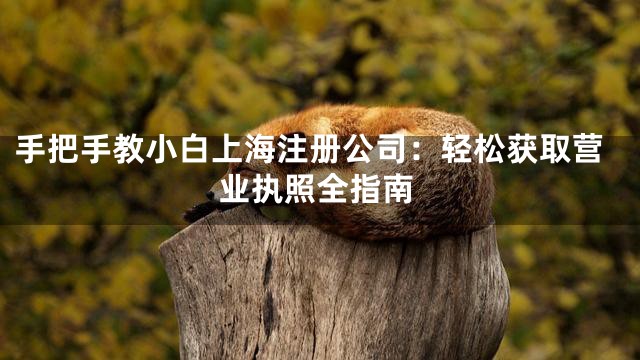 手把手教小白上海注册公司：轻松获取营业执照全指南