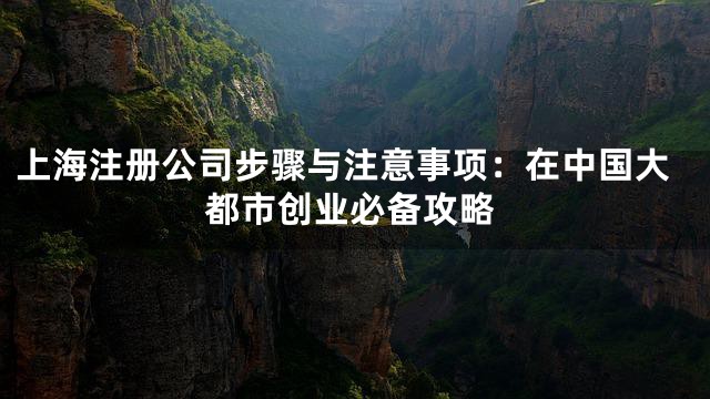上海注册公司步骤与注意事项：在中国大都市创业必备攻略