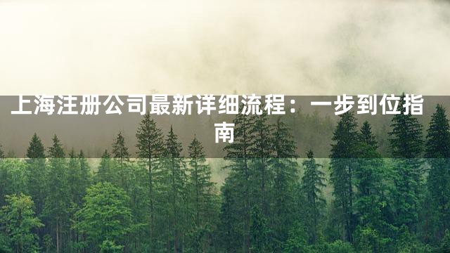 上海注册公司最新详细流程：一步到位指南