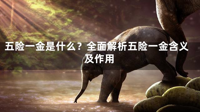 五险一金是什么？全面解析五险一金含义及作用