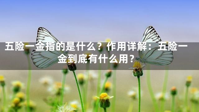 五险一金指的是什么？作用详解：五险一金到底有什么用？