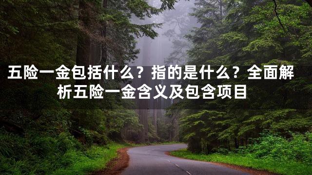 五险一金包括什么？指的是什么？全面解析五险一金含义及包含项目