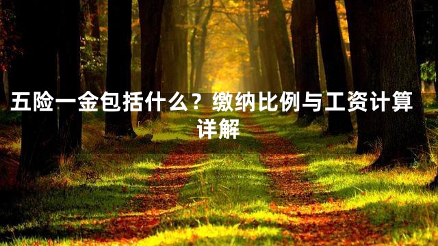 五险一金包括什么？缴纳比例与工资计算详解