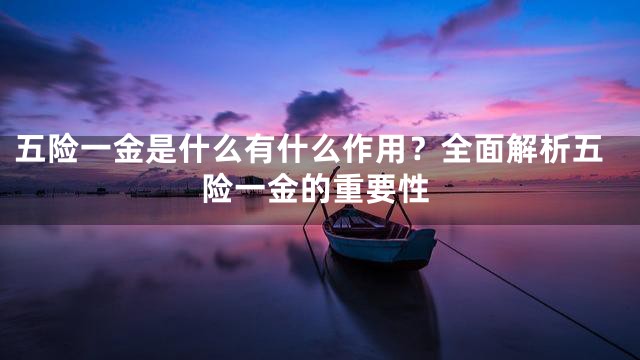 五险一金是什么有什么作用？全面解析五险一金的重要性