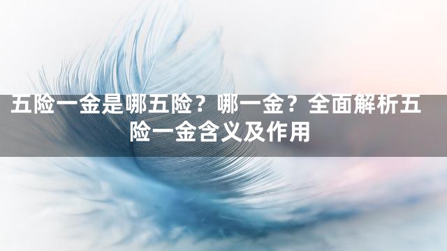 五险一金是哪五险？哪一金？全面解析五险一金含义及作用