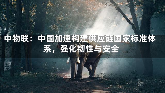 中物联：中国加速构建供应链国家标准体系，强化韧性与安全