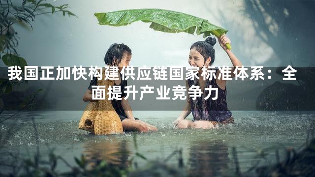 我国正加快构建供应链国家标准体系：全面提升产业竞争力