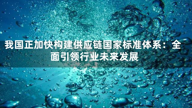 我国正加快构建供应链国家标准体系：全面引领行业未来发展