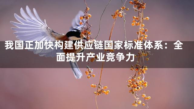 我国正加快构建供应链国家标准体系：全面提升产业竞争力