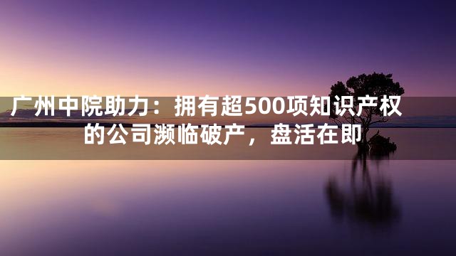 广州中院助力：拥有超500项知识产权的公司濒临破产，盘活在即