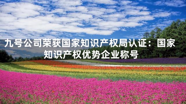 九号公司荣获国家知识产权局认证：国家知识产权优势企业称号