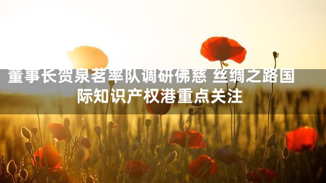 董事长贺泉茗率队调研佛慈 丝绸之路国际知识产权港重点关注