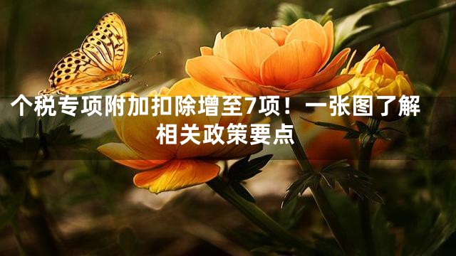 个税专项附加扣除增至7项！一张图了解相关政策要点