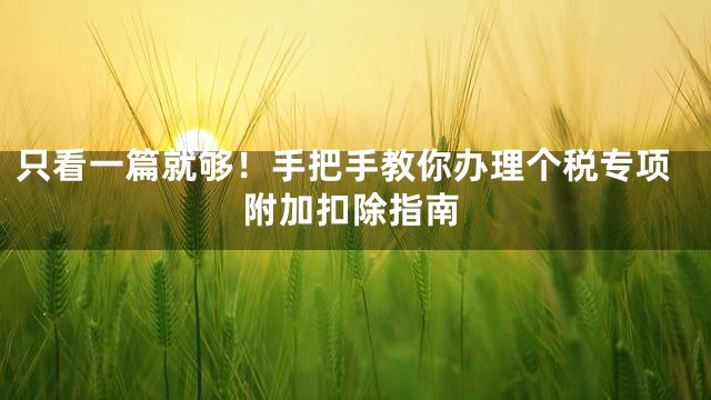 只看一篇就够！手把手教你办理个税专项附加扣除指南
