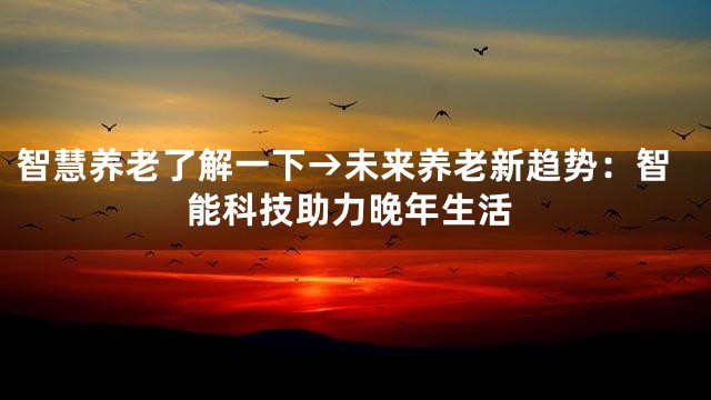 智慧养老了解一下→未来养老新趋势：智能科技助力晚年生活