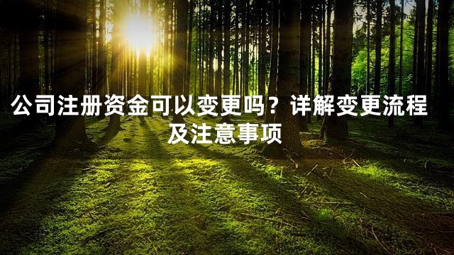 公司注册资金可以变更吗？详解变更流程及注意事项