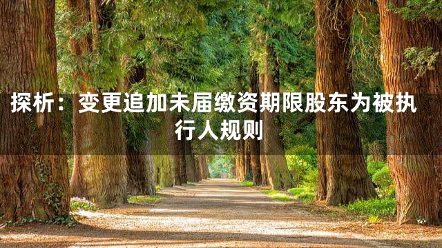 探析：变更追加未届缴资期限股东为被执行人规则