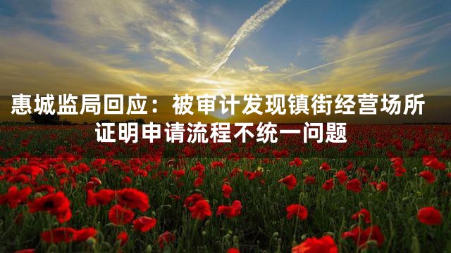 惠城监局回应：被审计发现镇街经营场所证明申请流程不统一问题