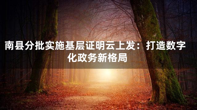 南县分批实施基层证明云上发：打造数字化政务新格局