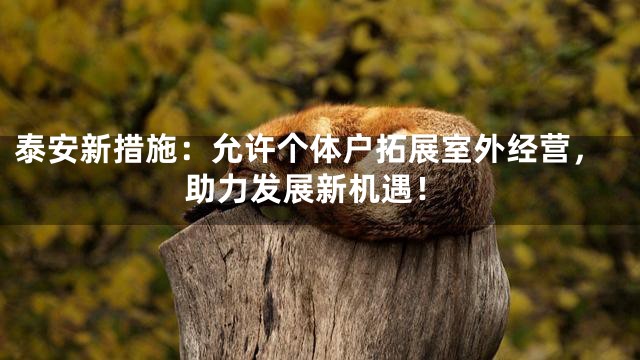 泰安新措施：允许个体户拓展室外经营，助力发展新机遇！