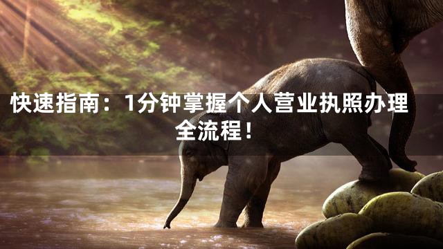 快速指南：1分钟掌握个人营业执照办理全流程！