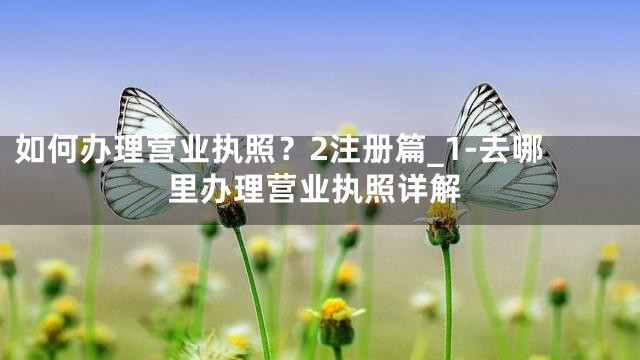 如何办理营业执照？2注册篇_1-去哪里办理营业执照详解