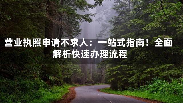 营业执照申请不求人：一站式指南！全面解析快速办理流程